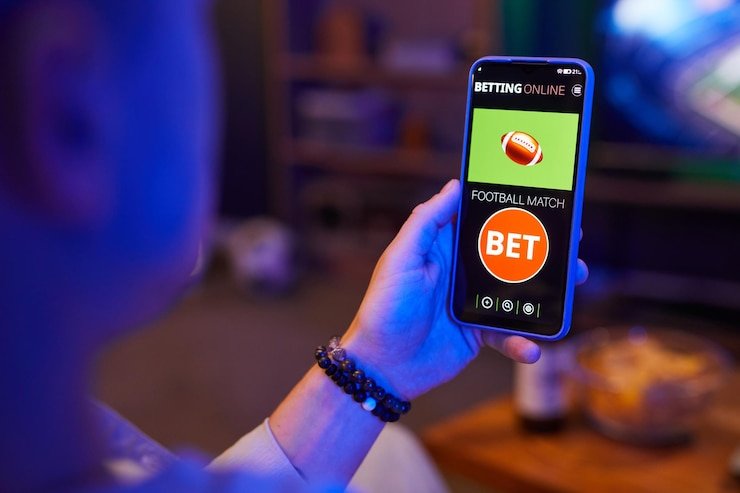 Contoh status transaksi dalam Riwayat Transaksi toto313